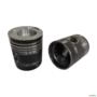 PISTAO CANEIS  P&A-995 0.50 49107 Imagem PISTAO CANEIS  P&A-995 0.50 49107