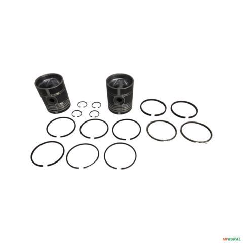 PISTAO CANEIS P&A-995 0.50 49107 Imagem PISTAO CANEIS P&A-995 0.50 49107