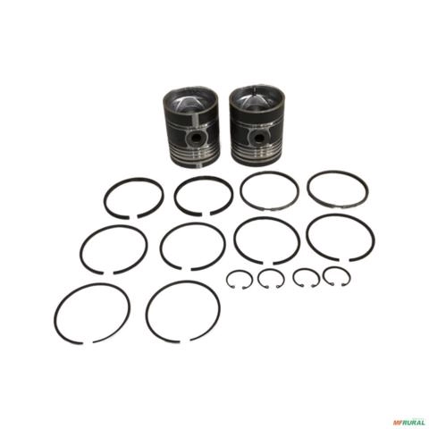 PISTAO CANEIS P&A-1049 STD 49112 Imagem PISTAO CANEIS P&A-1049 STD 49112