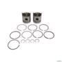 PISTAO E ANEIS MOTOR FORD 4600/5600/6600 (CX.2PÇ) P&A-1096 STD 49123 Imagem PISTAO E ANEIS MOTOR FORD 4600/5600/6600 (CX.2PÇ) P&A-1096 STD 49123