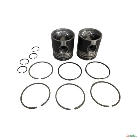 PISTAO CANEIS P&A-1195 STD 49128 Imagem PISTAO CANEIS P&A-1195 STD 49128