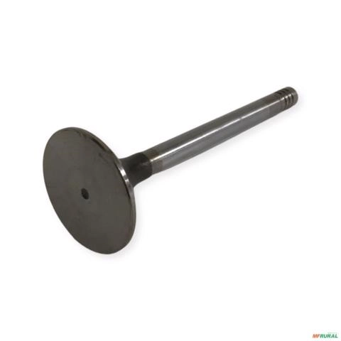 VALVULA DE ADMISSÃO MWM D-225/D-226/D-229 ASPIRADO VS-1134-4 49590 Imagem VALVULA DE ADMISSÃO MWM D-225/D-226/D-229 ASPIRADO VS-1134-4 49590