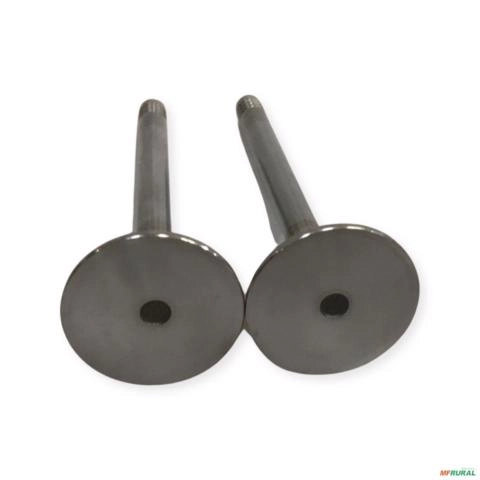 VALVULA DE ESCAPE MWM D-225/D-226/D-229 ASPIRADO VS-1135-2 49595 Imagem VALVULA DE ESCAPE MWM D-225/D-226/D-229 ASPIRADO VS-1135-2 49595