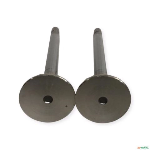 VALVULA ESCAPE VS-1178 49625 Imagem VALVULA ESCAPE VS-1178 49625