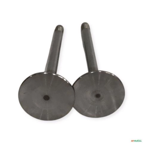 VALVULA ADMISSAO VS-4895/5299-KS 49884 Imagem VALVULA ADMISSAO VS-4895/5299-KS 49884