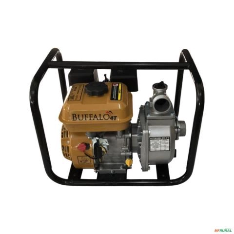 MOTOBOMBA AUTOESCORVANTE 2 - 7 CV BFG 2S BFG 2 S 57401 Imagem MOTOBOMBA AUTOESCORVANTE 2 - 7 CV BFG 2S BFG 2 S 57401