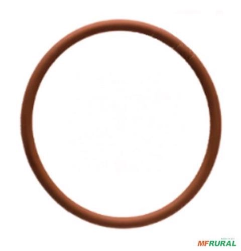 ANEL DE VEDACAO DO COPO DO FILTRO FVS 100 (M693) M 693A 59100 Imagem ANEL DE VEDACAO DO COPO DO FILTRO FVS 100 (M693) M 693A 59100