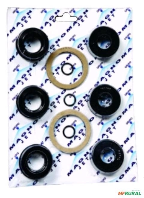 KIT DE REPARO DE BOMBA M 227 M 227 60430 Imagem KIT DE REPARO DE BOMBA M 227 M 227 60430