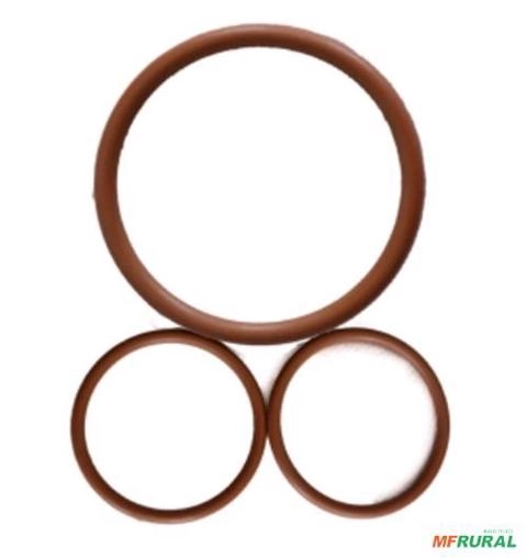 KIT DE ANÉIS .DE VITON P- FILTRO DE. LINHA MAGNOJET M 500/5 60470 Imagem KIT DE ANÉIS .DE VITON P- FILTRO DE. LINHA MAGNOJET M 500/5 60470