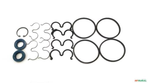 REPARO BOMBA DIRECAO BOSCH DUPLA 159560/1 100042 Imagem REPARO BOMBA DIRECAO BOSCH DUPLA 159560/1 100042