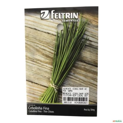 SEMENTE CEBOLINHA VERDE 50MG SEMENTE CEBOLINHA VERDE 50mg 3001510 Imagem SEMENTE CEBOLINHA VERDE 50MG SEMENTE CEBOLINHA VERDE 50mg 3001510