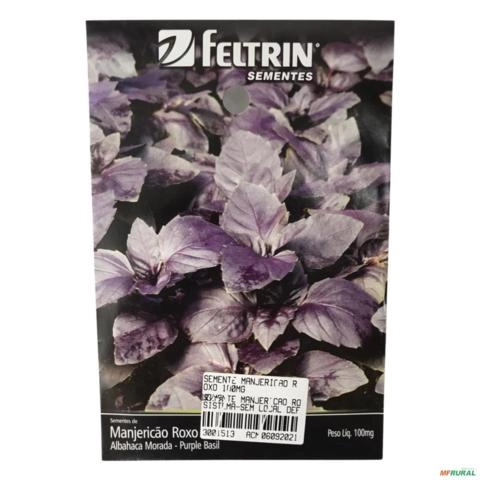 SEMENTE MANJERICAO ROXO 100MG SEMENTE MANJERICAO ROXO 100mg 3001513 Imagem SEMENTE MANJERICAO ROXO 100MG SEMENTE MANJERICAO ROXO 100mg 3001513