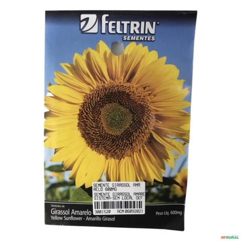 SEMENTE GIRASSOL AMARELO  600MG SEMENTE GIRASSOL AMARELO 600mg 3001520 Imagem SEMENTE GIRASSOL AMARELO  600MG SEMENTE GIRASSOL AMARELO 600mg 3001520