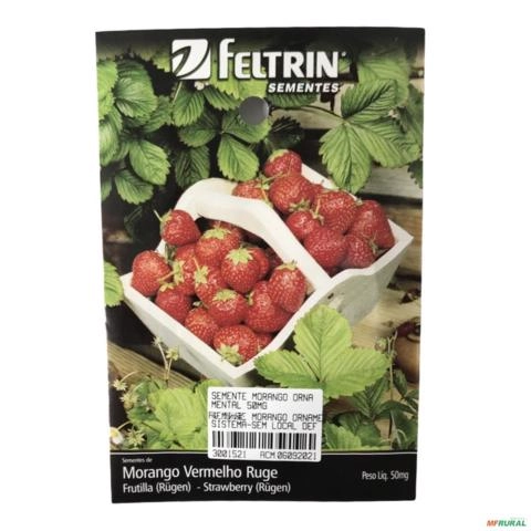 SEMENTE MORANGO ORNAMENTAL 50MG SEMENTE MORANGO ORNAMENTAL 50mg 3001521 Imagem SEMENTE MORANGO ORNAMENTAL 50MG SEMENTE MORANGO ORNAMENTAL 50mg 3001521