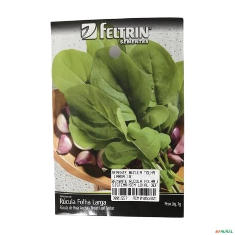 SEMENTE RUCULA FOLHA LARGA 1G SEMENTE RUCULA FOLHA LARGA 1g 3001557 Imagem SEMENTE RUCULA FOLHA LARGA 1G SEMENTE RUCULA FOLHA LARGA 1g 3001557