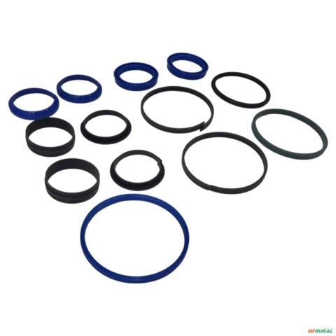 REPARO CILINDRO DIRECAO CARRARO 6269951 3002427 Imagem REPARO CILINDRO DIRECAO CARRARO 6269951 3002427