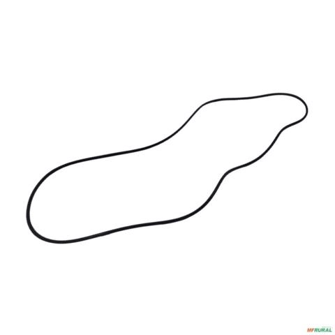 ANEL DA CARCACA FORD 6600 A 8030 379313S91 3002436 Imagem ANEL DA CARCACA FORD 6600 A 8030 379313S91 3002436