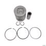 PISTÃO E ANÉIS PERKINS 1006, CAT-3054 S-1036 100931 Imagem PISTÃO E ANÉIS PERKINS 1006, CAT-3054 S-1036 100931