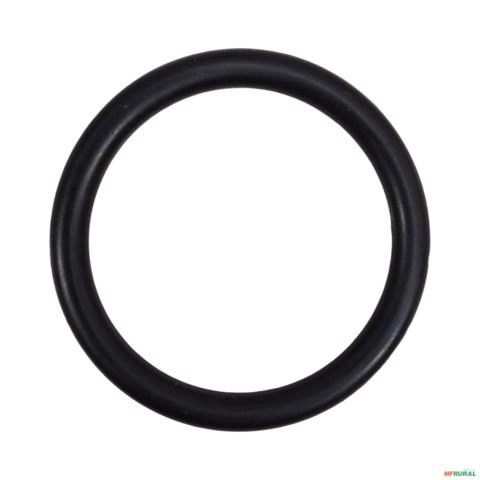 ANEL BORRACHA 1001489 274 Imagem ANEL BORRACHA 1001489 274