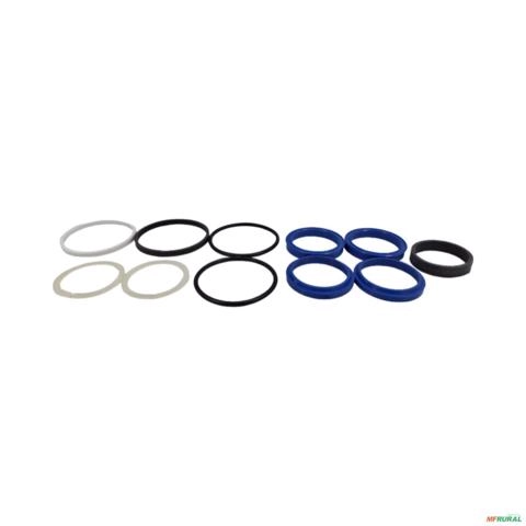 Imagem REPARO DO CILINDRO DANA 31955600 3414 Imagem REPARO DO CILINDRO DANA 31955600 3414