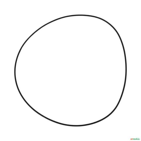 ANEL O 209,22 X 2,62 954931072091E 3009891 Imagem ANEL O 209,22 X 2,62 954931072091E 3009891