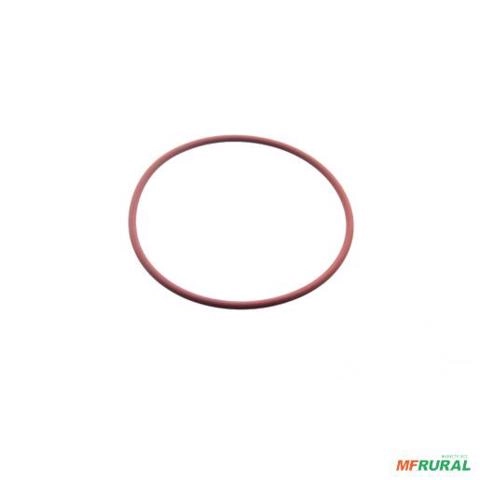 ANEL O 604931301124E 3010429 Imagem ANEL O 604931301124E 3010429