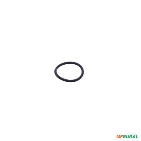 ANEL DE VEDACAO (O-RING) 604931000202E 3010431 Imagem ANEL DE VEDACAO (O-RING) 604931000202E 3010431
