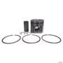 PISTÃO E ANEIS MOTOR MWM SPRINT 6.07T F-250 940751600148 3012223 Imagem PISTÃO E ANEIS MOTOR MWM SPRINT 6.07T F-250 940751600148 3012223
