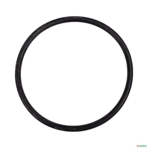 ANEL DE VEDACAO (O-RING) 904931070631E 3013913 Imagem ANEL DE VEDACAO (O-RING) 904931070631E 3013913