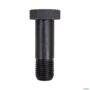 PARAFUSO BANJO DUPLO M10 X 1,0 X 31 70740346E 3014812 Imagem PARAFUSO BANJO DUPLO M10 X 1,0 X 31 70740346E 3014812