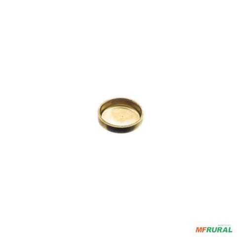 SELO MOTOR MWM 22,2MM 602152250022E 3016492 Imagem SELO MOTOR MWM 22,2MM 602152250022E 3016492