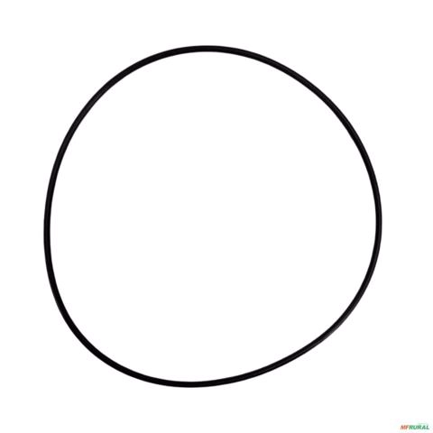 ANEL ORING 3176331M1-ZF 3023776 Imagem ANEL ORING 3176331M1-ZF 3023776