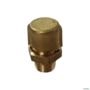 RESPIRO 1/8NPT 81236000-ZF 3023909 Imagem RESPIRO 1/8NPT 81236000-ZF 3023909