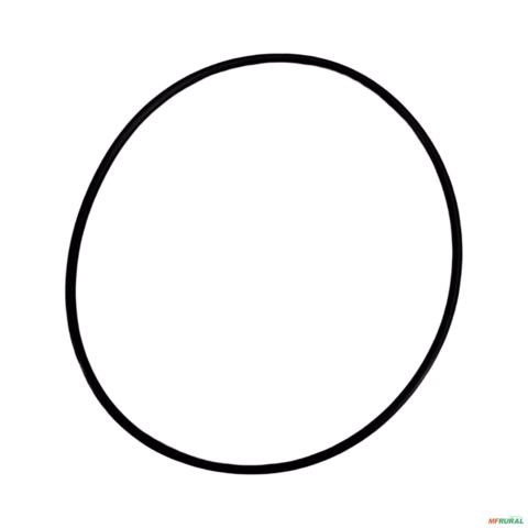 ANEL ORING MANCAL TRAÇÃO TSA09 87539000-ZF 3023951 Imagem ANEL ORING MANCAL TRAÇÃO TSA09 87539000-ZF 3023951