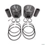 PISTAO C/ANEIS CUMMINS ISB 4.5 / 6.7 S211020 STD 3024726 Imagem PISTAO C/ANEIS CUMMINS ISB 4.5 / 6.7 S211020 STD 3024726