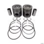 PISTÃO E ANÉIS MAXION S4T (100MM) D20 PA-1949 STD 3024738 Imagem PISTÃO E ANÉIS MAXION S4T (100MM) D20 PA-1949 STD 3024738
