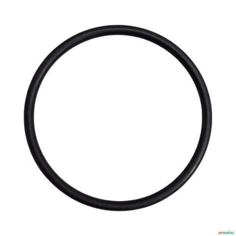 ANEL 84996885 3025223 Imagem ANEL 84996885 3025223