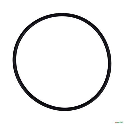 ANEL 84996883 3025224 Imagem ANEL 84996883 3025224