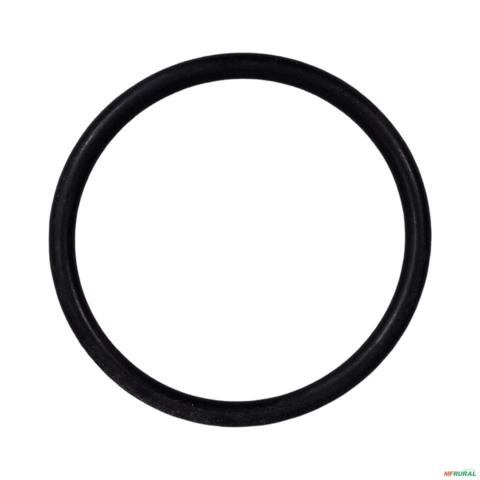 ANEL 84996904 3025225 Imagem ANEL 84996904 3025225