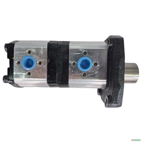 BOMBA HIDRAULICA DUPLA TL MOTOR MWM F000510642 3025855 Imagem BOMBA HIDRAULICA DUPLA TL MOTOR MWM F000510642 3025855