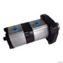BOMBA HIDRAULICA DUPLA TL MOTOR MWM F000510642 3025855 Imagem BOMBA HIDRAULICA DUPLA TL MOTOR MWM F000510642 3025855