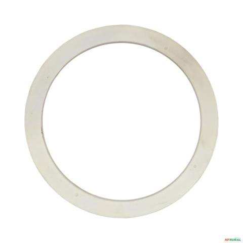 ANEL  TRACAO DANA 7202501201 3029956 Imagem ANEL  TRACAO DANA 7202501201 3029956