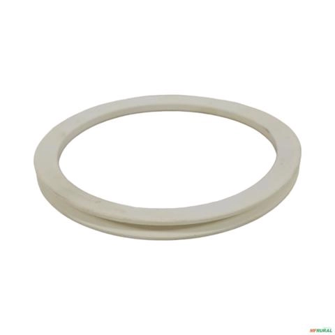 Imagem ANEL  TRACAO DANA 7202501201 3029956 Imagem ANEL  TRACAO DANA 7202501201 3029956