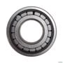 ROLAMENTO ROLETE 191250M1 3031561 Imagem ROLAMENTO ROLETE 191250M1 3031561
