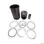 KIT - MOTOR VALTRA 634 DWBAE 99483961 3034381 Imagem KIT - MOTOR VALTRA 634 DWBAE 99483961 3034381