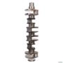 VIRABREQUIM MOTOR CUMMINS ISC 8.3L VW FORD 3965006 3035042 Imagem VIRABREQUIM MOTOR CUMMINS ISC 8.3L VW FORD 3965006 3035042