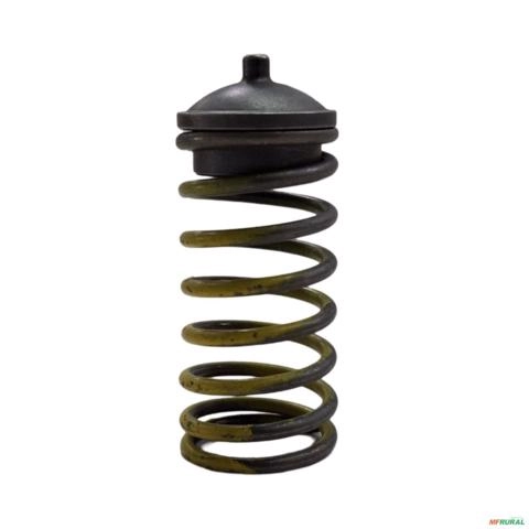 CONJUNTO MOLA E SEDE ALÍVIO MOTOR VALTRA 836667650 3035273 Imagem CONJUNTO MOLA E SEDE ALÍVIO MOTOR VALTRA 836667650 3035273