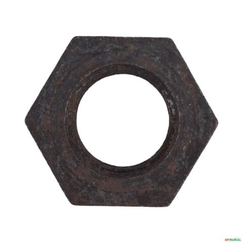 PORCA ESPECIAL 82210700 3035380 Imagem PORCA ESPECIAL 82210700 3035380