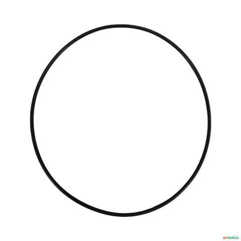 ANEL ORING 3176331M1-ZF 3036450 Imagem ANEL ORING 3176331M1-ZF 3036450