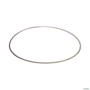 CALCO DE CAMISA 0,25 MOTOR CUMMINS SERIE-C 8.3 /ISC 8.3/ ISL 8.9 3914653 2RK107124 3037430 Imagem CALCO DE CAMISA 0,25 MOTOR CUMMINS SERIE-C 8.3 /ISC 8.3/ ISL 8.9 3914653 2RK107124 3037430
